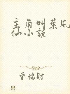 主角叫叶风的修仙小说