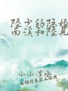 陆少的隐婚罪妻南溪和陆见深