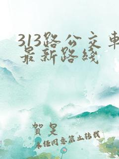 313路公交车最新路线 313路公交车最新路线