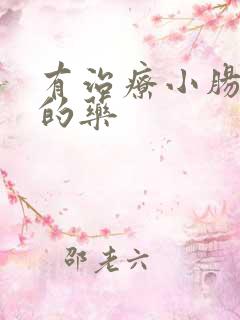 有治疗小肠换气的药