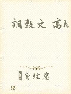 调教文 高h