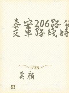泰安206路公交车路线时间表
