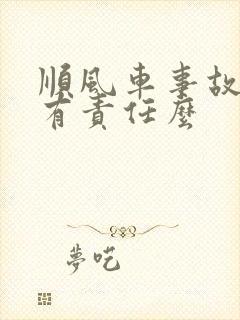 顺风车事故平台有责任么
