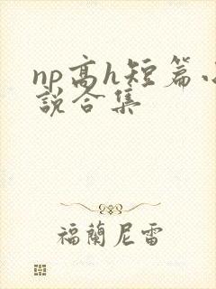 np高h短篇小说合集