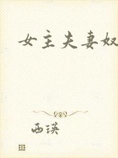 女主夫妻奴小说
