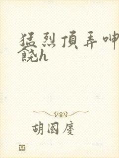 猛烈顶弄呻吟求饶h