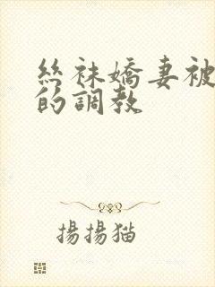丝袜娇妻被屈辱的调教