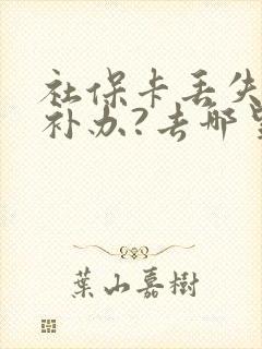 社保卡丢失怎么补办?去哪里补办?