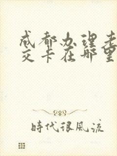 成都办理老年公交卡在哪里办