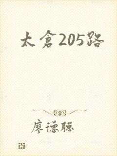 太仓205路