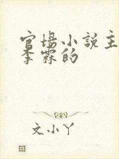 官场小说主角叫李霖的