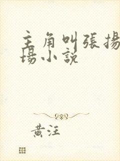 主角叫张扬的官场小说
