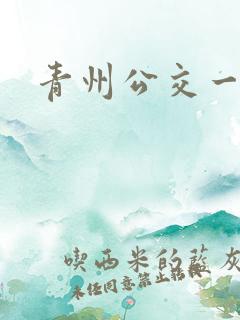 青州公交一览表