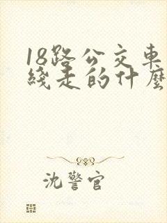 18路公交车路线走的什么路