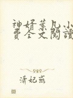 神婿叶凡小说免费全文阅读
