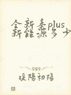 全新秦plus新能源多少钱一台