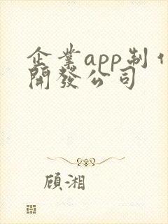企业app制作开发公司