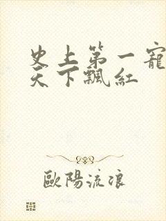 史上第一宠婚 天下飘红