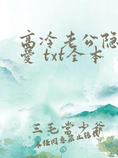 高冷老公隐婚蜜爱 txt全本