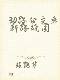 30路公交车最新路线图