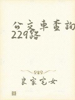 公交车查询路线229路