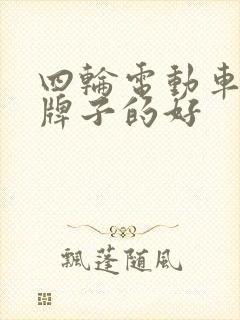 四轮电动车什么牌子的好