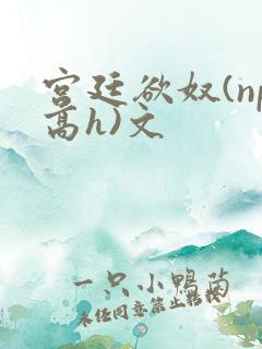 宫廷欲奴(np高h)文