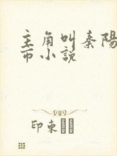 主角叫秦阳的都市小说