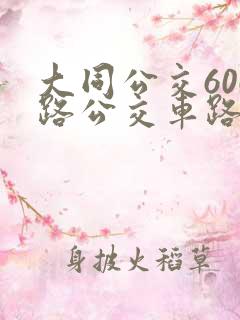 大同公交606路公交车路线查询