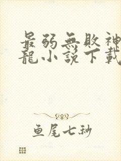 最弱无败神装机龙小说下载