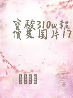 宝骏310w报价及图片17款