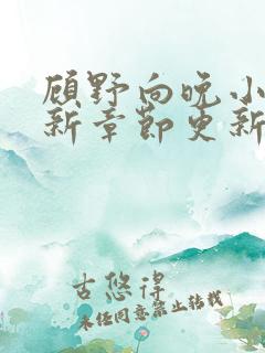 顾野向晚小说最新章节更新时间