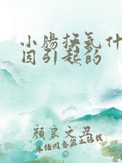 小肠换气什么原因引起的