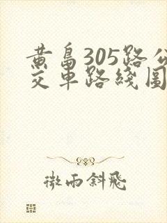 黄岛305路公交车路线图