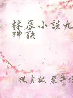 林辰小说九天斩神诀