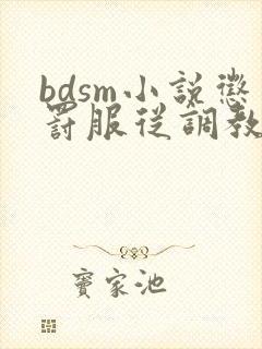 bdsm小说惩罚服从调教