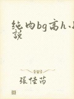 纯肉bg高h小说 纯肉bg高h小说