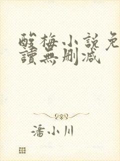 酸梅小说免费阅读无删减
