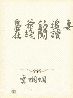 枭爷的追妻小说在线阅读