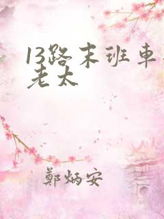 13路末班车邱老太
