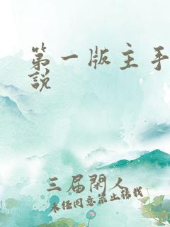 第一版主手机小说
