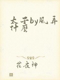 太子by风弄讲什么 太子by风弄讲什么