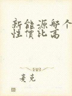 新能源哪个牌子性价比高