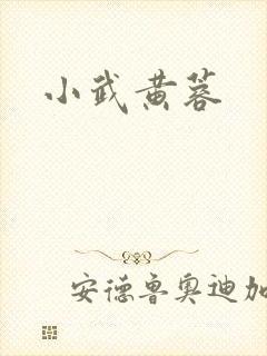 小武黄蓉 小武黄蓉