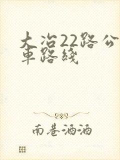 大冶22路公交车路线