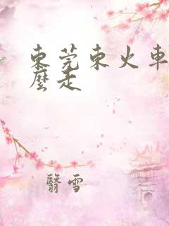 东莞东火车站怎么走
