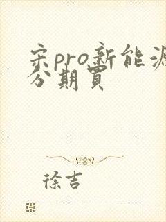 宋pro新能源分期买