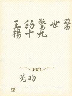 王的惊世医妃 杨十九