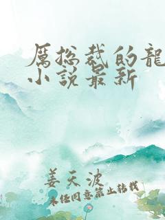 厉总裁的龙凤胎小说最新