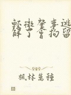 轻微肇事逃逸和解了会拘留吗